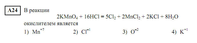 24 24