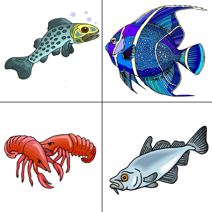 Карточки для детей развивающие рыбы