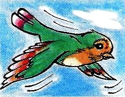 sc7