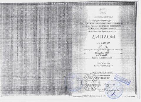 Документ преподавателя Орлова Елена Анатольевна
