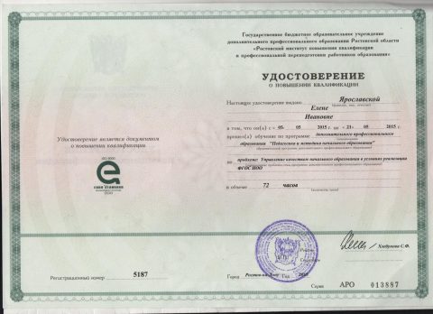Документ преподавателя Ярославская Елена Ивановна