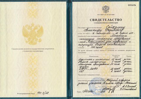 Документ преподавателя Сайфулин Александр Фаритович