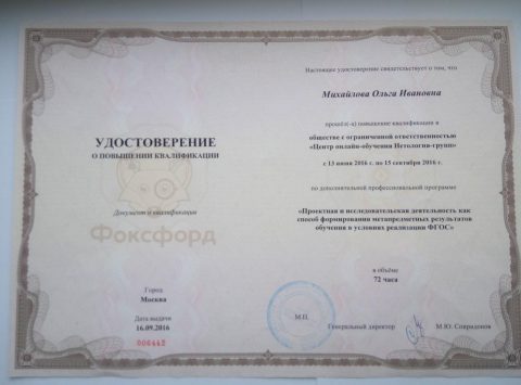 Документ преподавателя Михайлова Ольга
