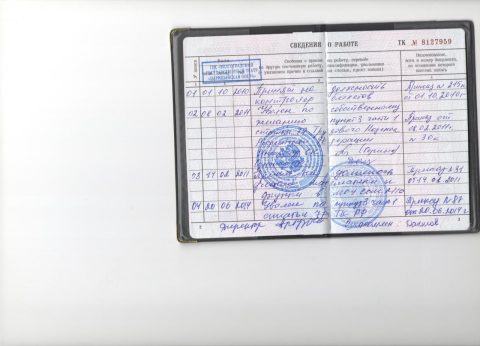 Документ преподавателя Данилов Павел