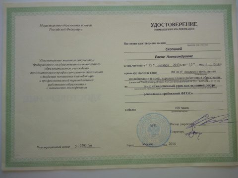 Документ преподавателя Скопина Елена Александровна