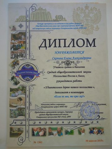 Документ преподавателя Скопина Елена Александровна