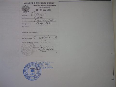Документ преподавателя Скопина Елена Александровна