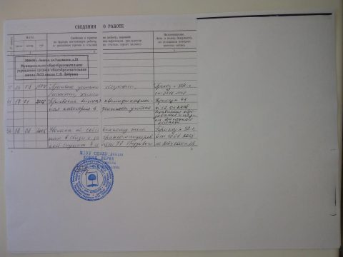 Документ преподавателя Скопина Елена Александровна