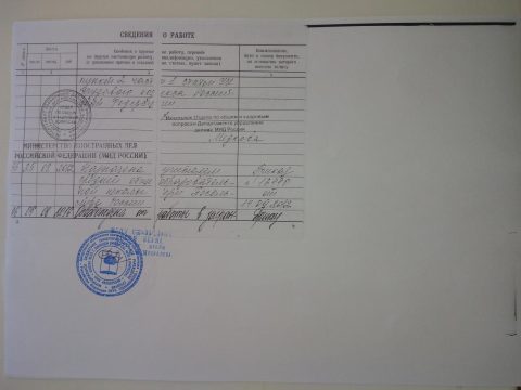 Документ преподавателя Скопина Елена Александровна