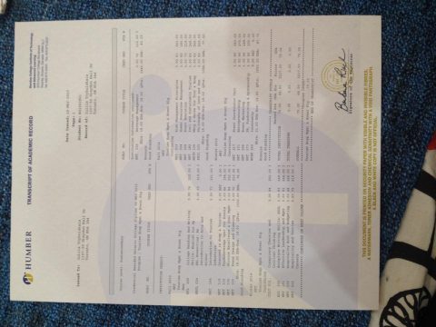 Документ преподавателя Цыбульская Юлия
