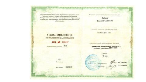 Документ преподавателя Ордина Елена Вячеславовна