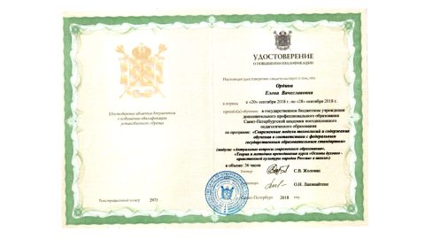 Документ преподавателя Ордина Елена Вячеславовна