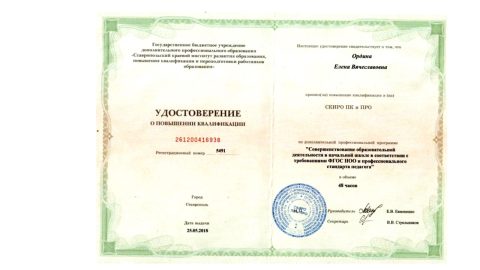 Документ преподавателя Ордина Елена Вячеславовна