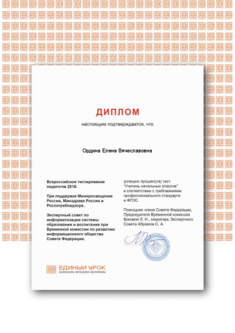 Документ преподавателя Ордина Елена Вячеславовна