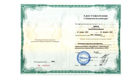 Документ преподавателя Ордина Елена Вячеславовна