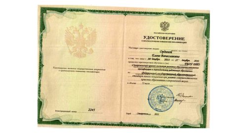 Документ преподавателя Ордина Елена Вячеславовна