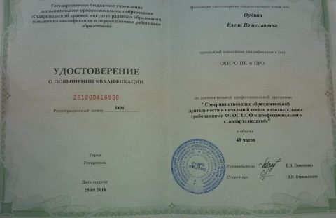 Документ преподавателя Ордина Елена Вячеславовна