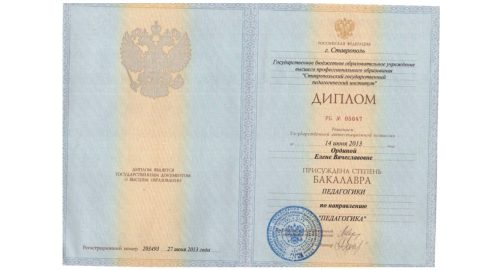 Документ преподавателя Ордина Елена Вячеславовна
