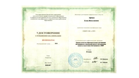 Документ преподавателя Ордина Елена Вячеславовна