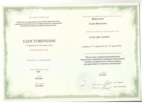 Документ преподавателя Штальман Елена Яковлевна