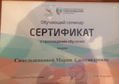 Документ преподавателя Синельщикова Мария