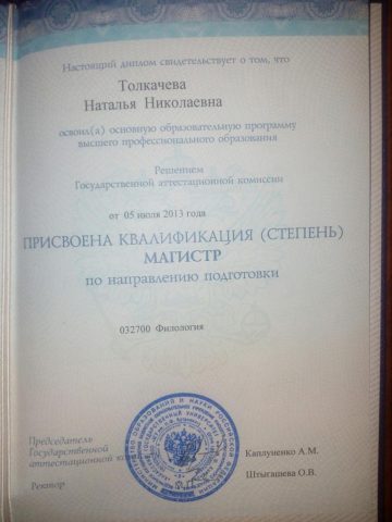 Документ преподавателя Толкачева Наталья Николаевна