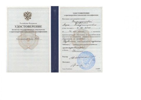 Документ преподавателя Спиридонова Вера Владимировна