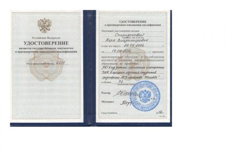 Документ преподавателя Спиридонова Вера Владимировна