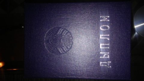 Документ преподавателя Винокурова Дарья Андреевна