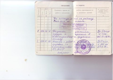 Документ преподавателя Моисеев Юрий Михайлович