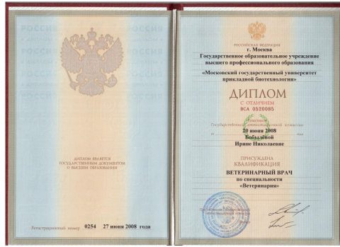 Документ преподавателя Семина Ирина Николаевна