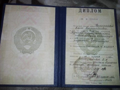 Документ преподавателя Жмакина(Виноградова) Елена Александровна