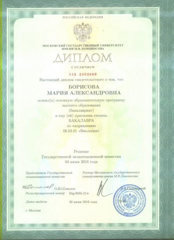 Документ преподавателя Борисова Мария Александровна