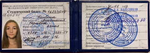 Документ преподавателя Бочарова Анастасия Юрьевна