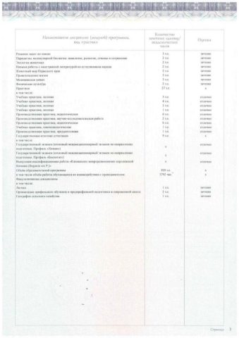 Документ преподавателя Тереханова Екатерина Евгеньевна