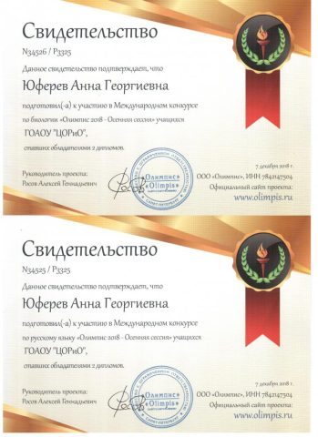 Документ преподавателя Юферев Анна Георгиевна