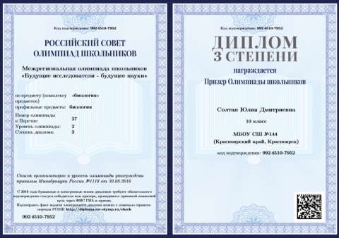 Документ преподавателя Солтан Юлия Дмитриевна