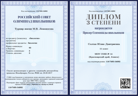 Документ преподавателя Солтан Юлия Дмитриевна