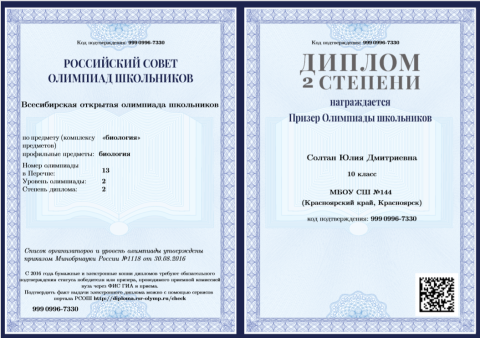 Документ преподавателя Солтан Юлия Дмитриевна