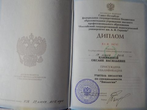 Документ преподавателя Климкина Оксана Васильевна