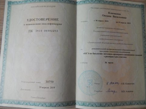 Документ преподавателя Климкина Оксана Васильевна