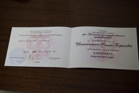 Документ преподавателя Березовская Галина Борисовна