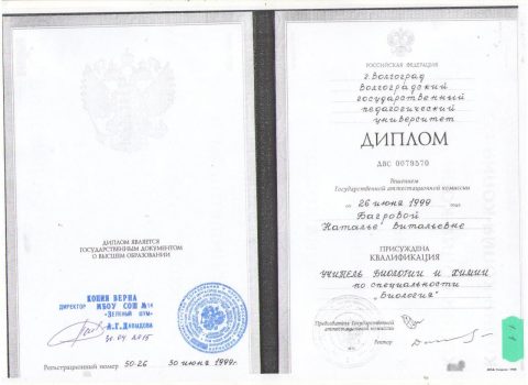 Документ преподавателя Багрова Наталья Витальевна