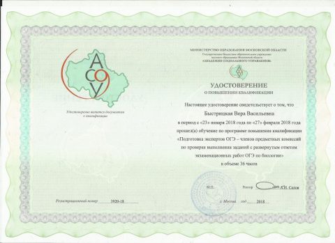 Документ преподавателя Быстрицкая Вера Васильевна
