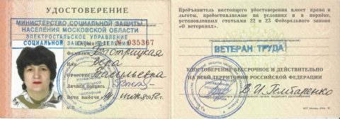 Документ преподавателя Быстрицкая Вера Васильевна
