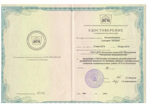 Документ преподавателя Хуснутдинова Гульнара Гаязовна