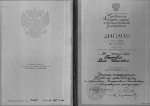 Документ преподавателя Навроцкая Анна Евгеньевна