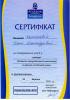 Документ преподавателя Цыганкова Елена Александровна