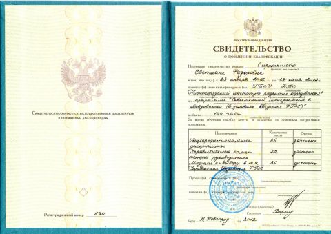Документ преподавателя Сироткина Светлана Федоровна
