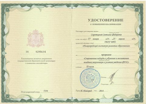 Документ преподавателя Сироткина Светлана Федоровна